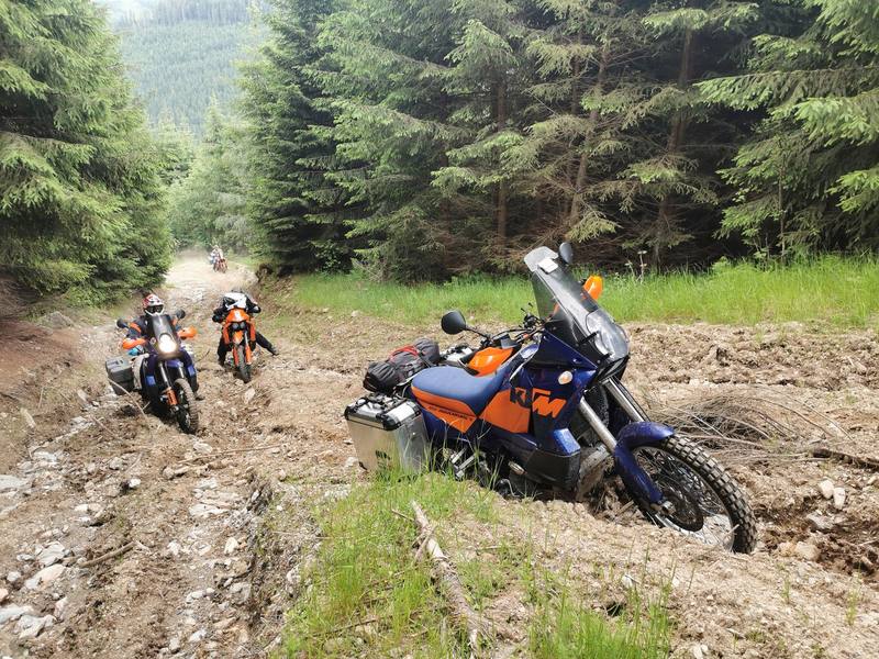 Wild Carpathian Ride